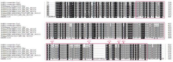 研究揭示武汉新型冠状病毒进化来源和传染人分子作用通路