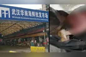 武汉华南海鲜市场关闭那一夜：店里堆满铁笼，蛇皮袋中装不明动物视频封面