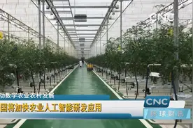 中国将加快农业人工智能研发应用视频封面
