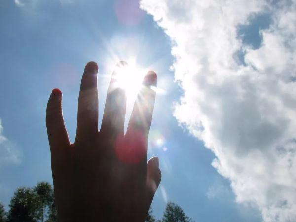 2019年抖音泪目的歌词，看到最后一个最感动