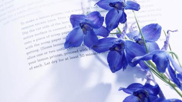 2019年抖音泪目的歌词，看到最后一个最感动