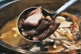 中国人为什么爱吃野味？来自李时珍的警告图片