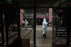 南方视频|省疾控专家：广东疫情传播以家庭聚集为主视频封面