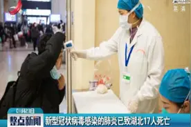 新型冠状病毒感染的肺炎已致湖北17人死亡视频封面