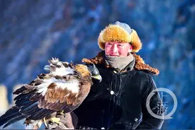 上游影像·摄影家夏首安镜头中的蒙古国① | 金雕捕狼 草原上的巅峰对决图片