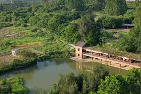印记磁窑——来看福建东山千年古村的乡村文旅复兴视频封面