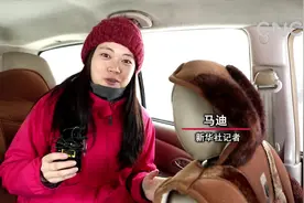 到黑龙江东北虎林园 与大老虎“亲密接触”