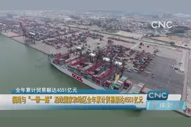 福建与“一带一路”沿线国家和地区全年累计贸易额达4551亿元视频封面