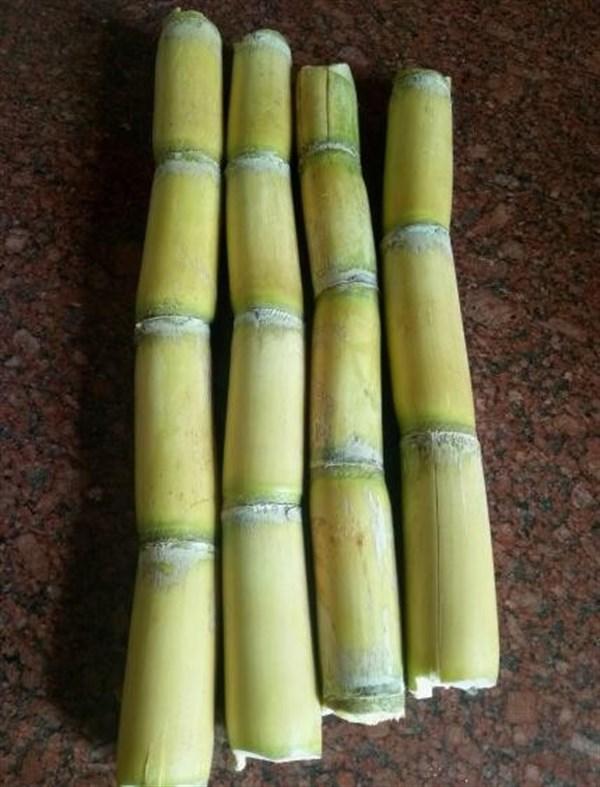 鐪肩潧鐨勨€滄竻娲佸伐鈥濇壘鍒颁簡锛岃繎瑙嗗▋瀛愬鍚冿紝娑︾洰鎺掓瘨锛?涓湀搴︽暟闄? onerror=