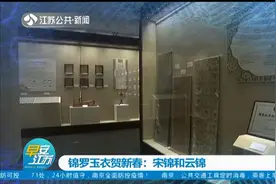锦罗玉衣贺新春：宋锦和云锦视频封面