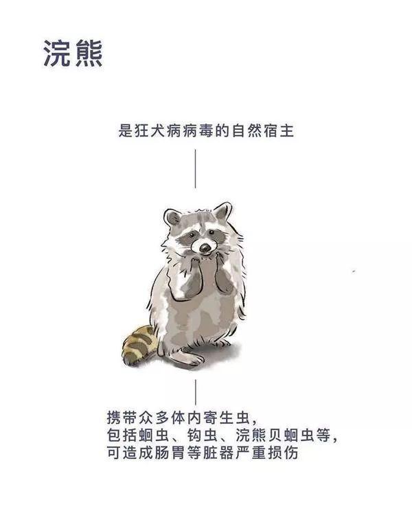 吃野兔都有风险！餐桌上的“野味“藏着哪些致命病毒？