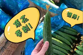 战“疫”Vlog丨节后蔬菜价格趋于平稳 欣亮带你买物美价廉的黄瓜视频封面