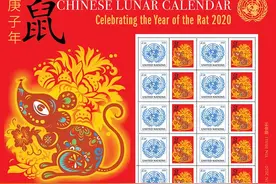 鼠年到了，rat和mouse的短语也要学起来啦图片