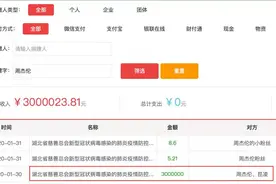 蔡依林、周杰伦、五月天等台湾艺人向武汉捐款图片