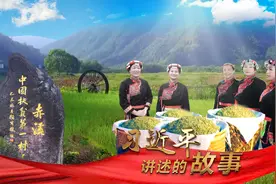 习近平讲述的故事|“中国扶贫第一村”脱贫记视频封面