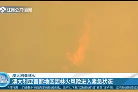 澳大利亚林火 澳大利亚首都地区因林火风险进入紧急状态视频封面