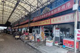 新型冠状病毒的前世今生｜起底图片