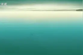 柴云龙详解办公室太极健身操视频封面