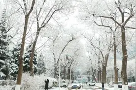 今天，我这里下雪了，你那里呢？| 防疫@日签 NO.1图片