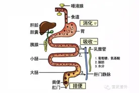 你被吓破胆了吗？图片