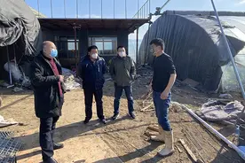 移风店镇：坚持“三到”原则，抓好蔬菜生产保障供给图片