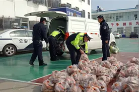 6000斤红薯胡萝卜！连云港这两位农民大姐的捐助够暖心图片