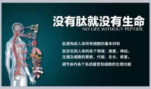 人体健康总开关“活性多肽”，你了解吗？