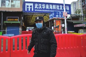 应敬畏野生动物！疫情把传统中餐推到风口浪尖，埃及记者：不要老想着把它们做成菜图片