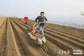 抗疫不忘生产，滕州薯农戴上口罩去下田图片