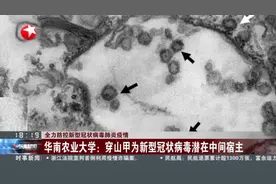 最新发现！华南农业大学：穿山甲为新型冠状病毒潜在中间宿主