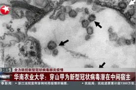 最新发现！华南农业大学：穿山甲为新型冠状病毒潜在中间宿主
