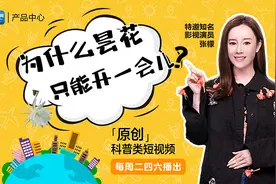 《十万个为什么》第十五期—为什么昙花只能开一会儿？视频封面