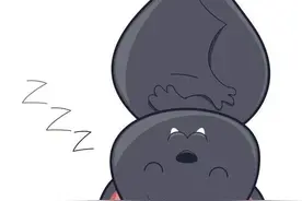 换个“视角”认识蝙蝠图片
