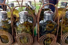 “生物安全法”立法提速，“生物疆域”事关国家核心利益图片