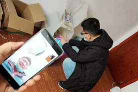 被疫情困住的留守宠物，救助者：我赶到时，猫已从19楼“跳”下图片