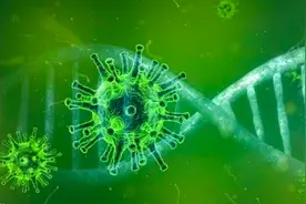 未知领域！巴西发现一种全新病毒，90%以上基因前所未见视频封面