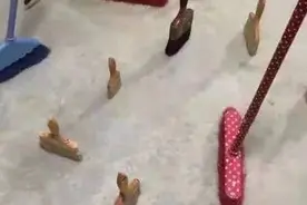 震惊！昨天你们立起来的扫把，甚至真的惊动了 NASA图片
