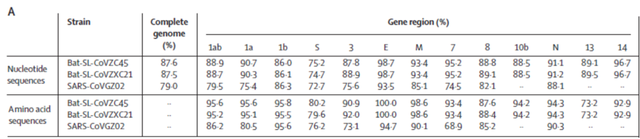 世卫和国际病毒分类委员会各为新冠肺炎及病毒命名，学界争议