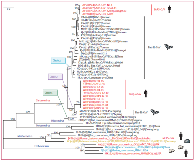 世卫和国际病毒分类委员会各为新冠肺炎及病毒命名，学界争议