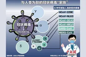 “新冠”命名大不同，到底该听谁的？图片