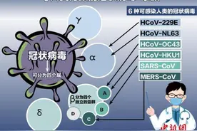 “新冠”命名大不同，到底该听谁的？图片