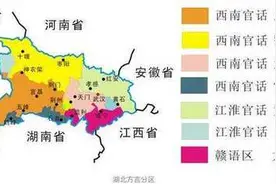 解决方言难题，语言学家为抗疫架起沟通桥图片
