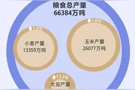 养活14亿人口 中国经济有底气图片