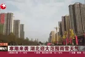 寒潮来势汹汹！湖北迎大范围雨雪天气，武汉将遇断崖式降温视频封面