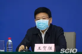 临危受命“空降”湖北5个月后，王贺胜不再兼任省卫健委主任图片