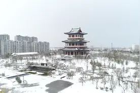 93秒丨白雪覆盖静谧深沉 雪后的济宁鱼台让人心醉视频封面