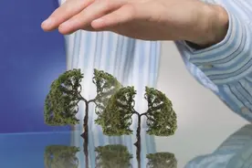在阅读中，了解人类与疫病的故事图片