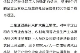 四川对因疫情暂时无法返岗的农民工给予1000元/人一次性吸纳就业补贴图片