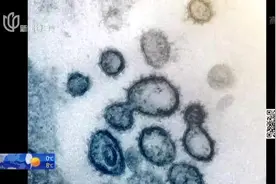 揭开病毒真面目！新冠病毒“高清彩照”曝光：棘突蛋白长这样！视频封面