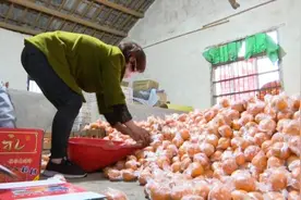 感恩汶川地震受助，他向武汉捐3万斤柑橘